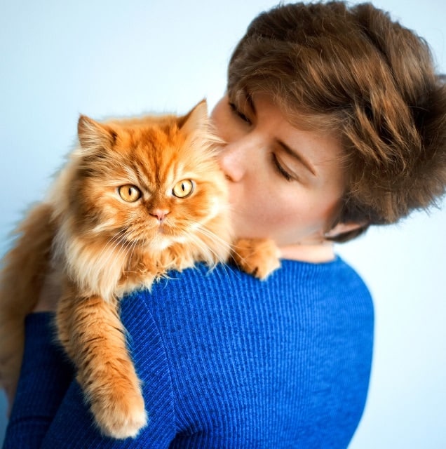 Do Cats Feel Love When You Kiss Them? Facts & FAQ Catster