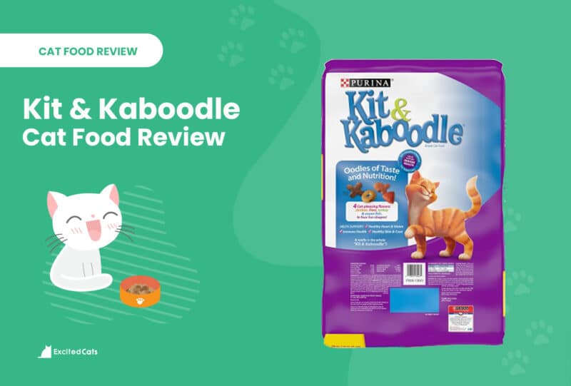 kit and kaboodle review