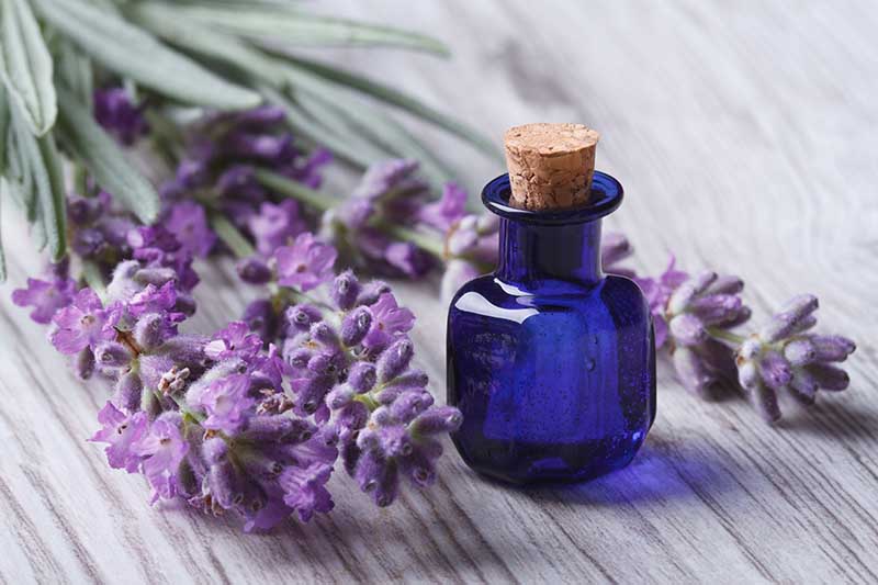 lavender oil in a glass bottle