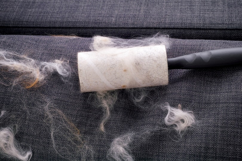 lint roller with animal fur