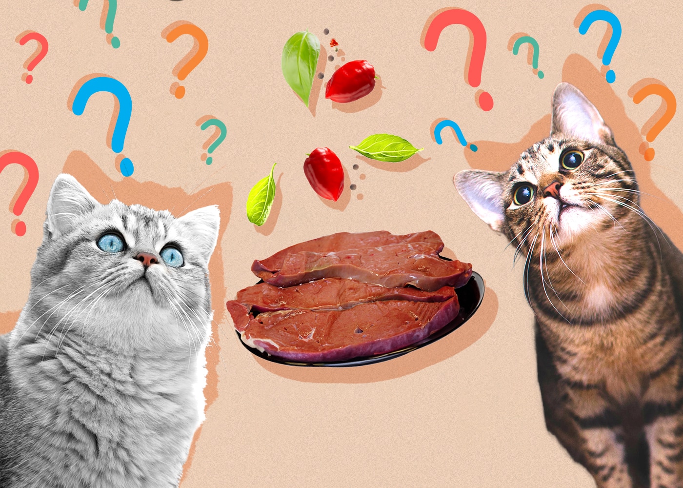 Can Cats Eat liverwurst