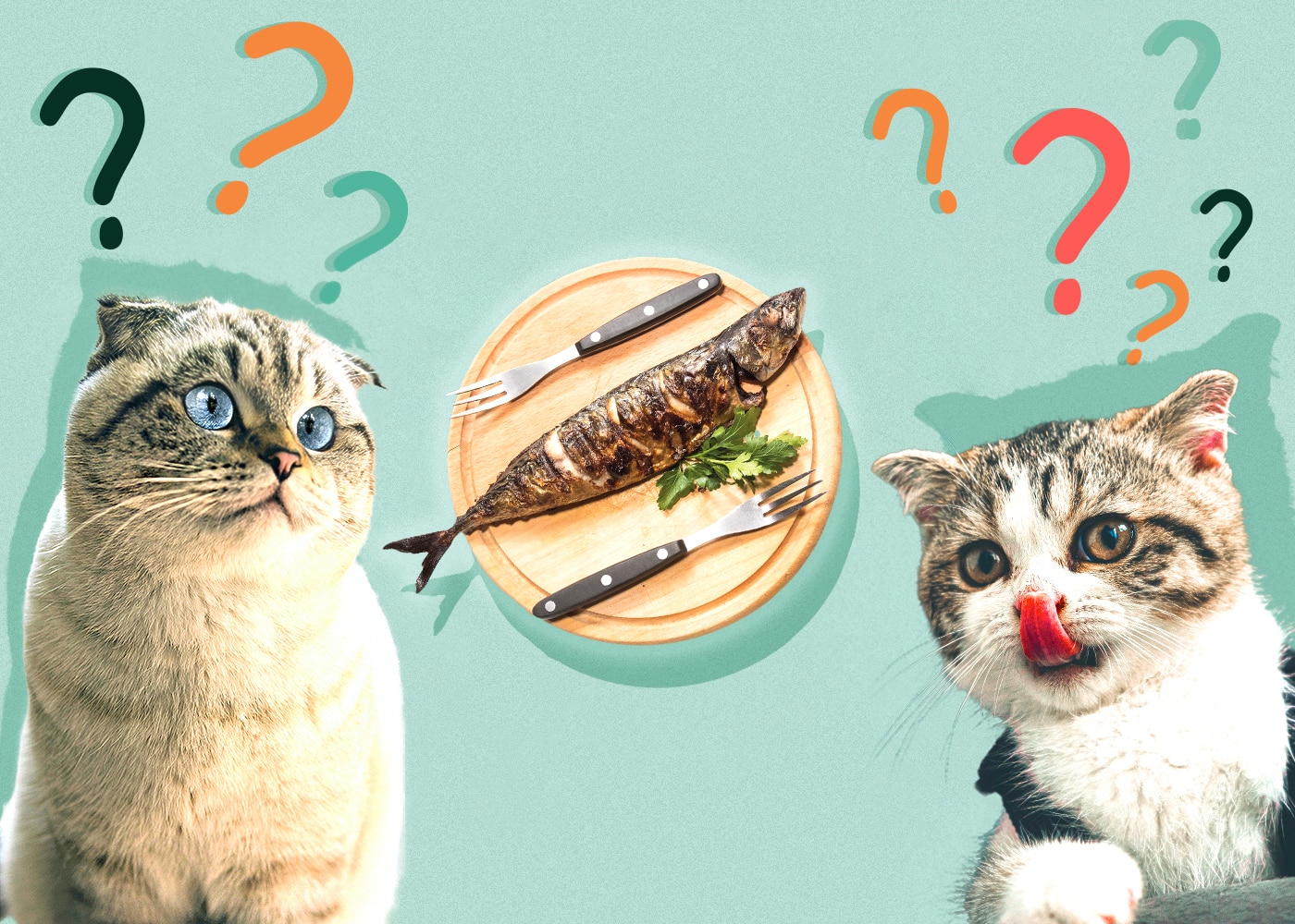 Can Cats Eat mackerel