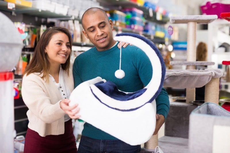 man and woman shopping for cat furniture