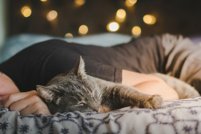 man is sleeping with a cat on a bed