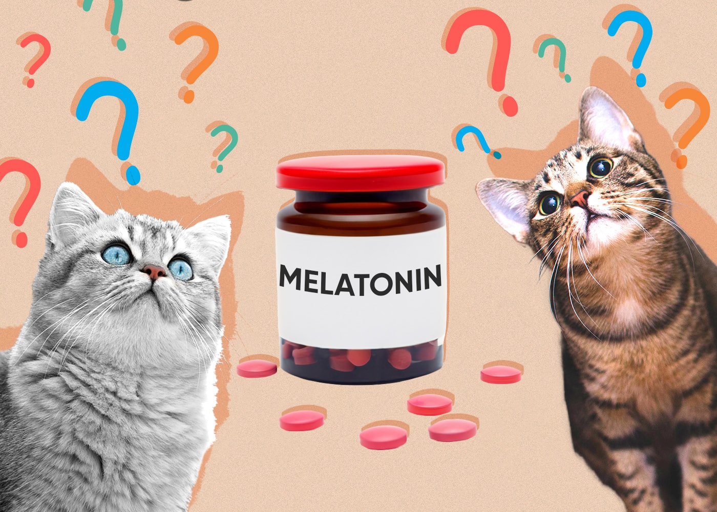 Can Cats Eat melatonin