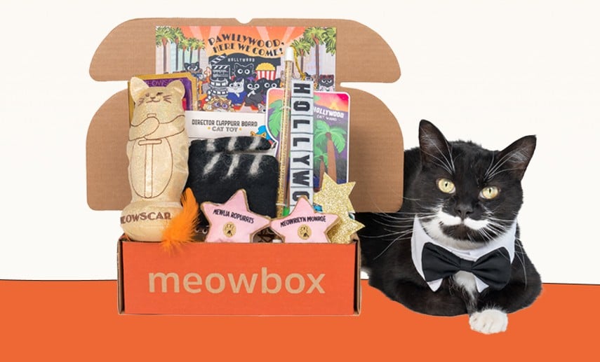 meobox ft img