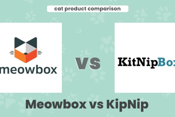 meowbox vs kipnip box header