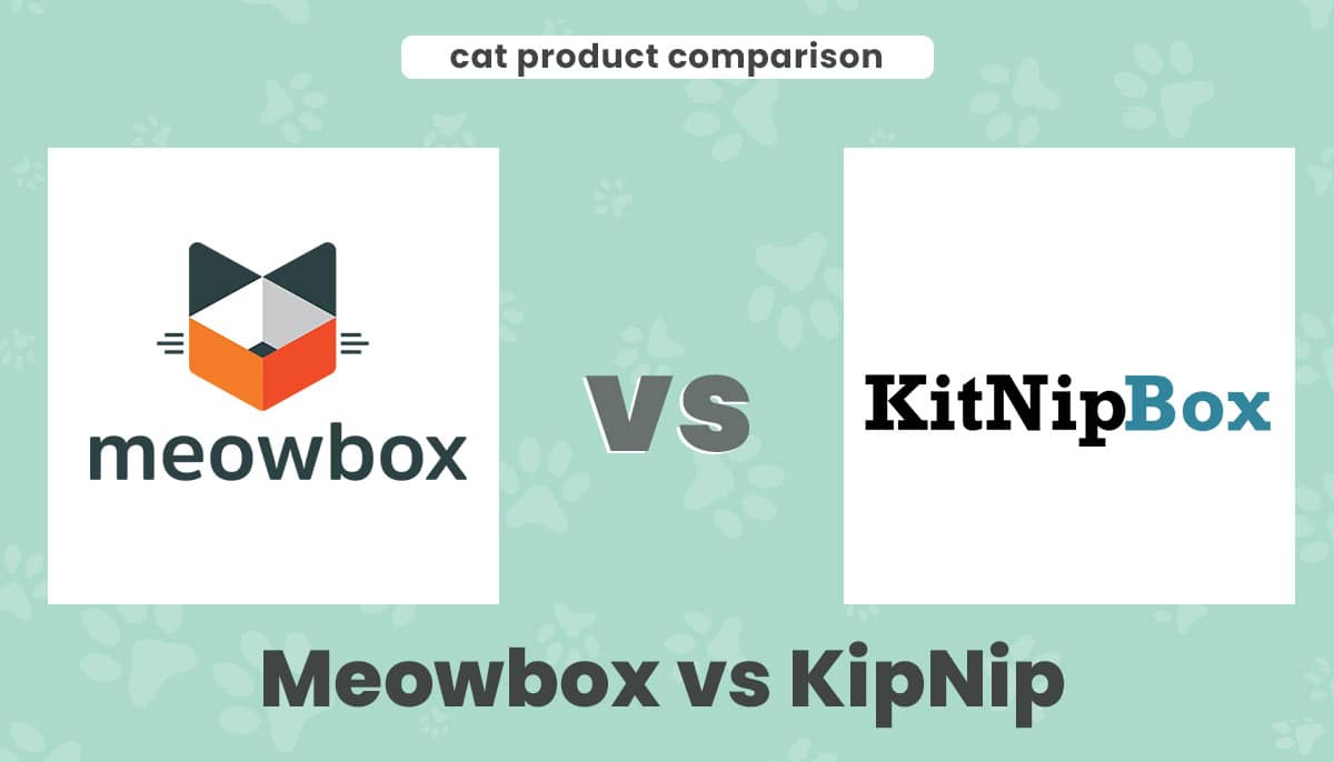 meowbox vs kipnip box header
