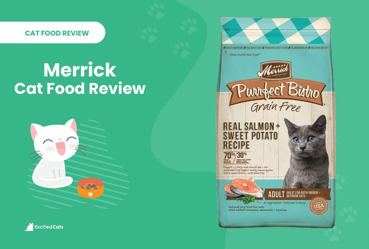 merrick cat food review