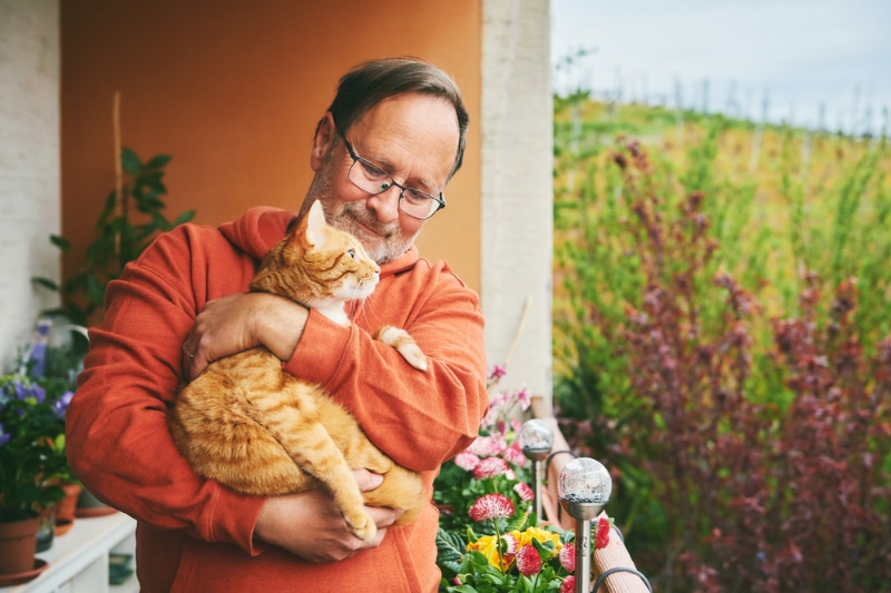 middle age man holding cute ginger cat on small cozy balcony
