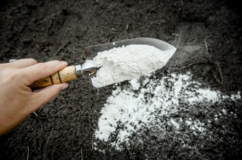 Limestone powder and garden soil
