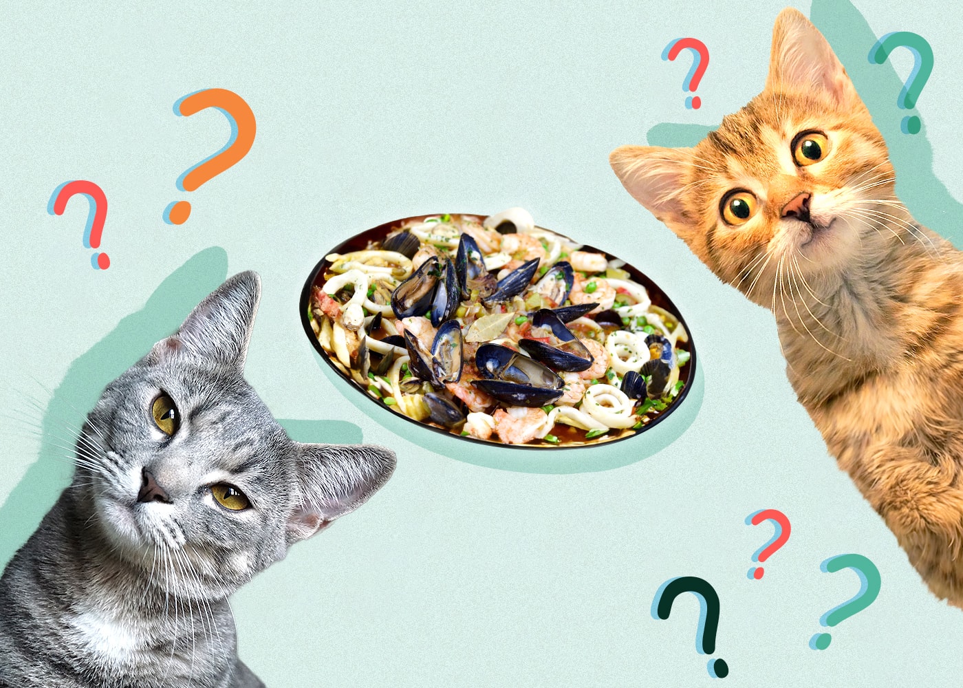 Can Cats Eat mussels