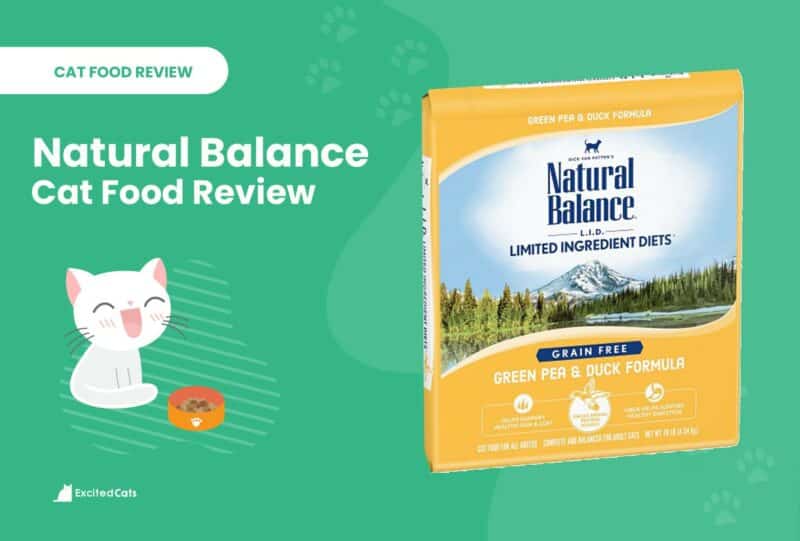 natural balance cat food review