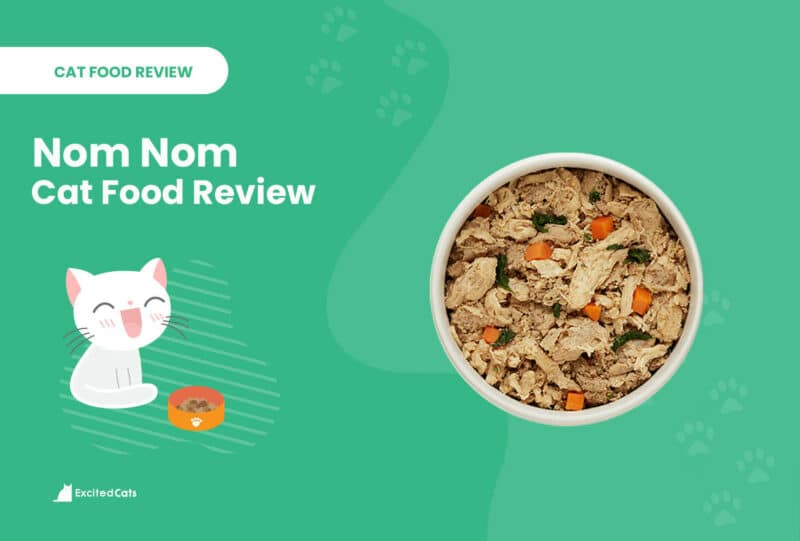 nom nom food review excitedcats
