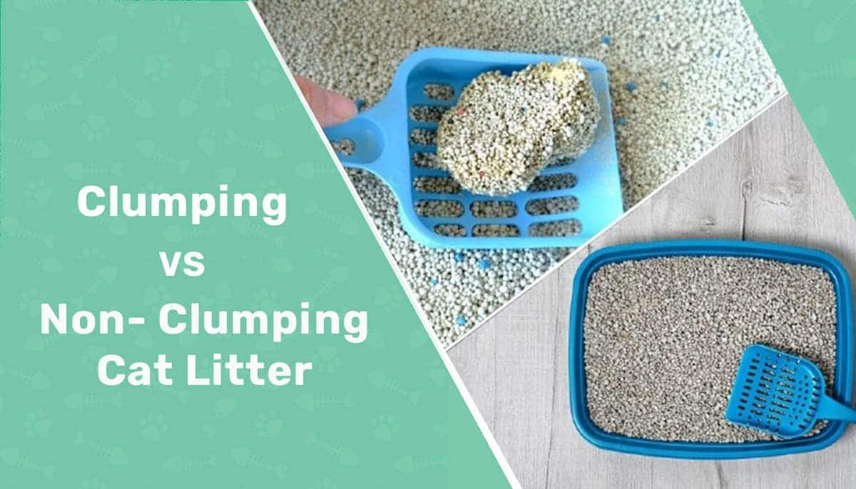 non clump vs clumping cat litter header