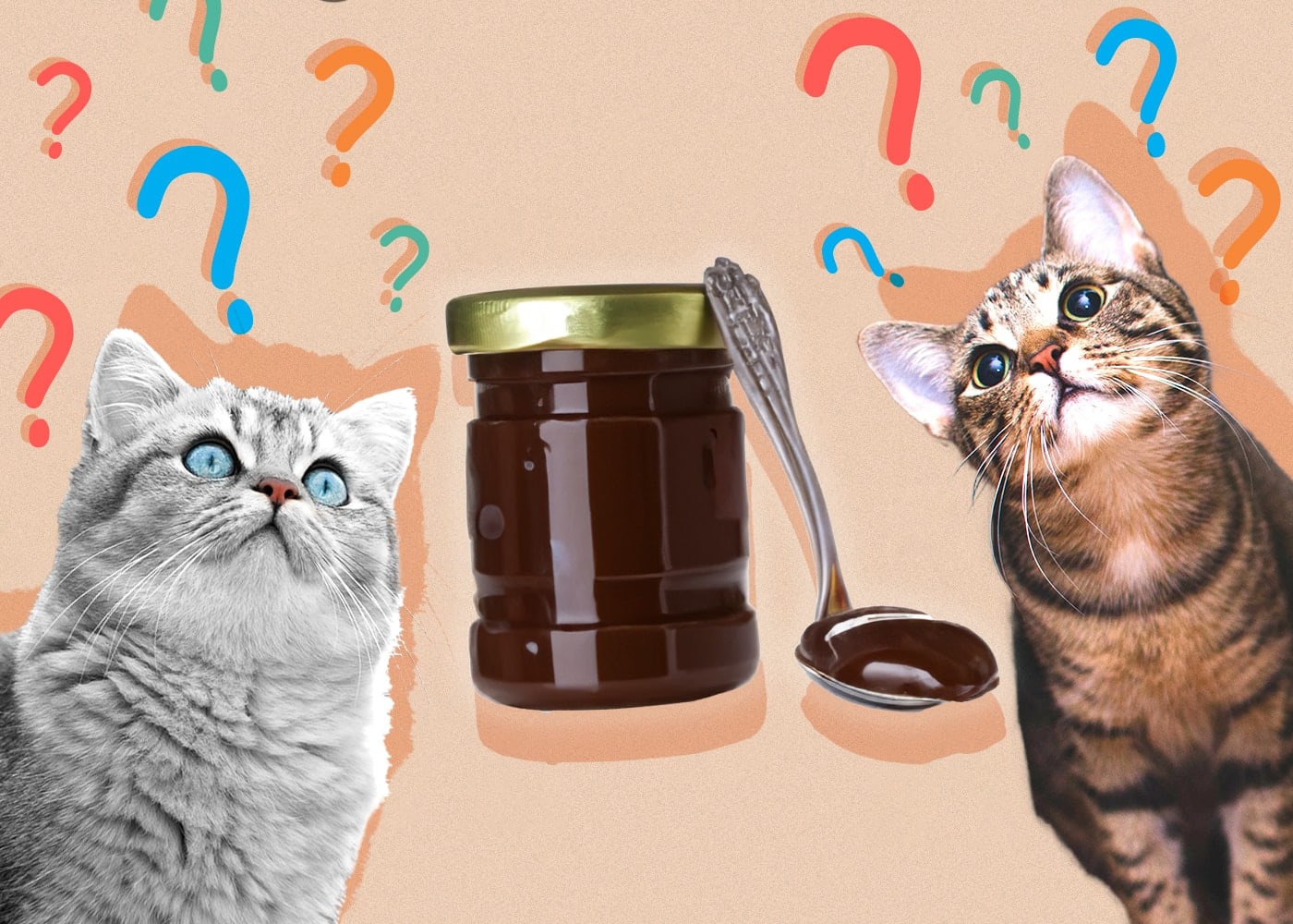 Can Cats Eat Nutella? VetReviewed Health Risks & Safe Alternatives