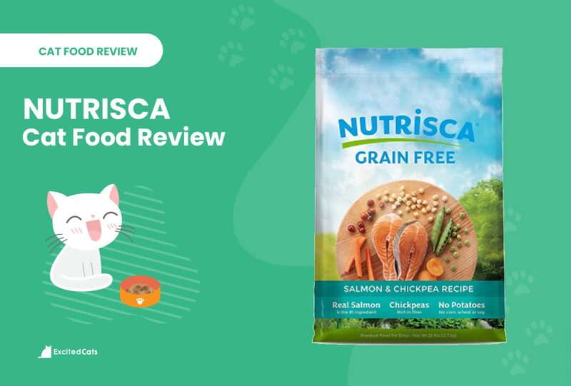 nutrisca cat food review