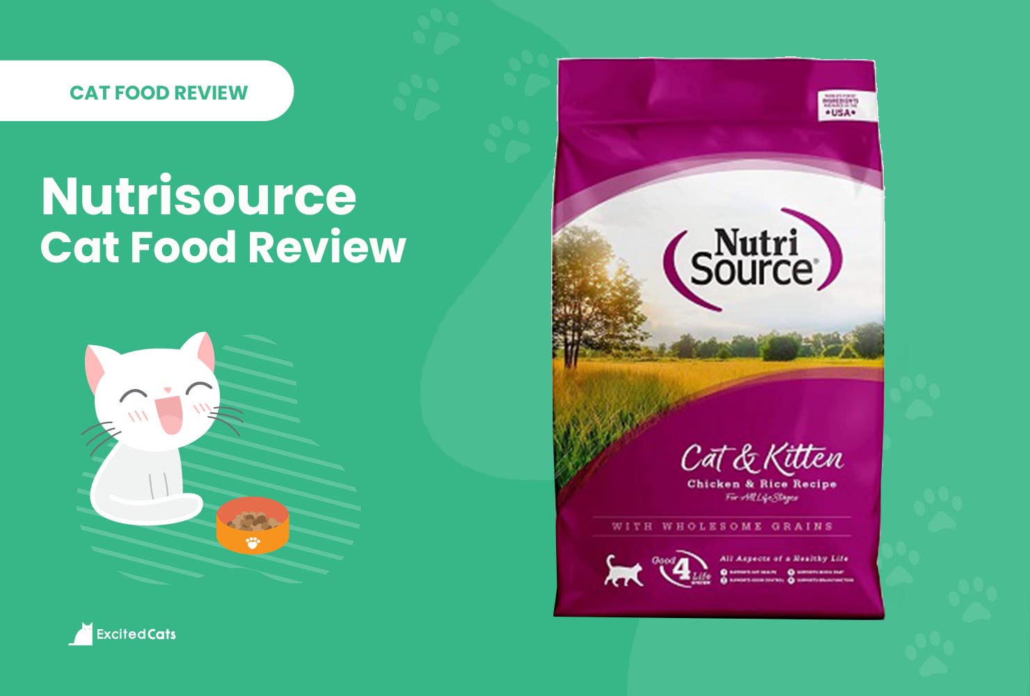nutrisource food review