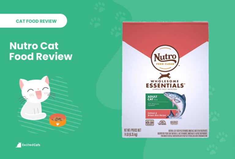 Nutro Cat Food Review of 2024 Recalls, Pros & Cons Catster