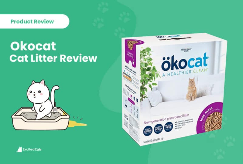 okocat litter review