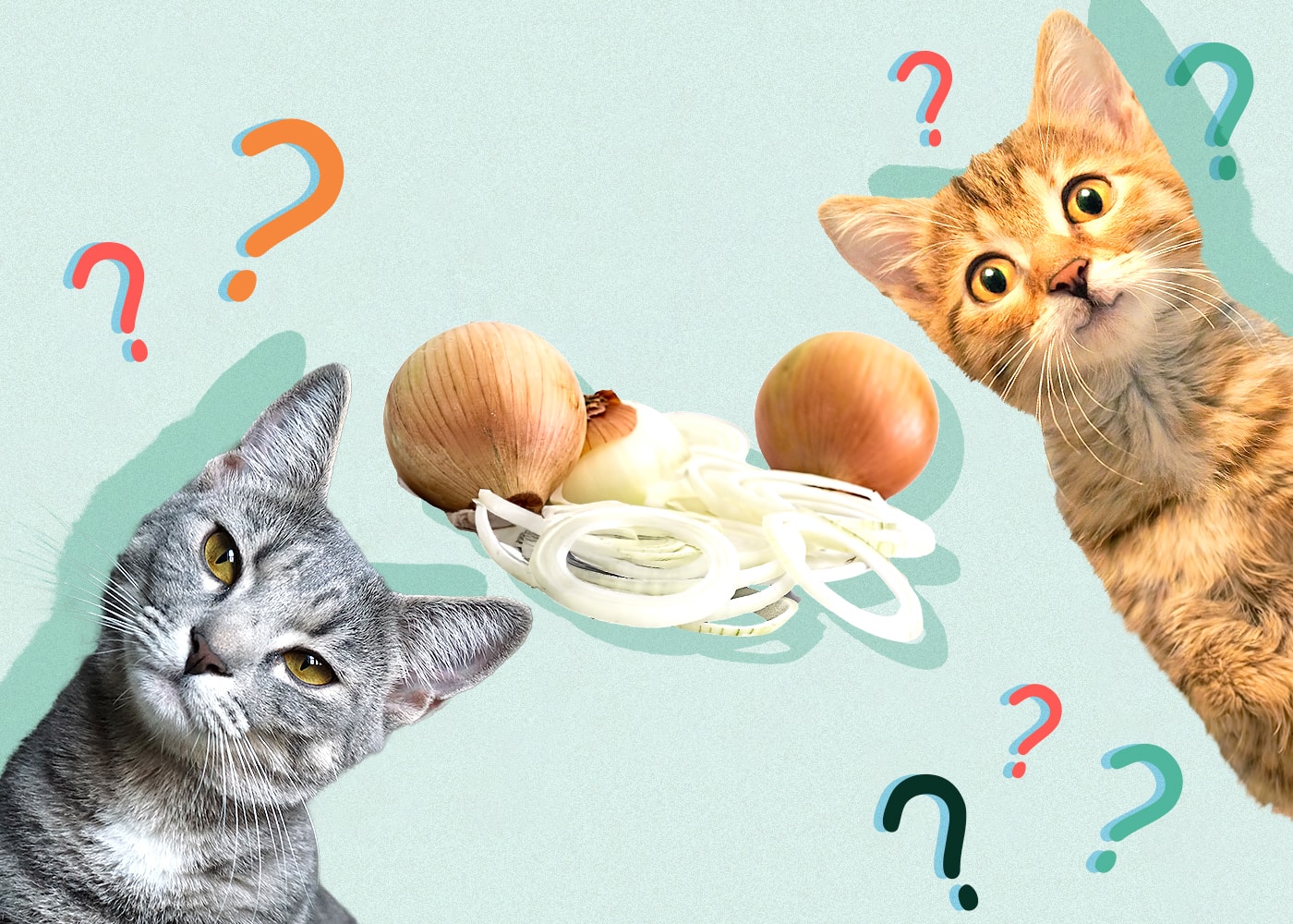 Can Cats Eat Onions
