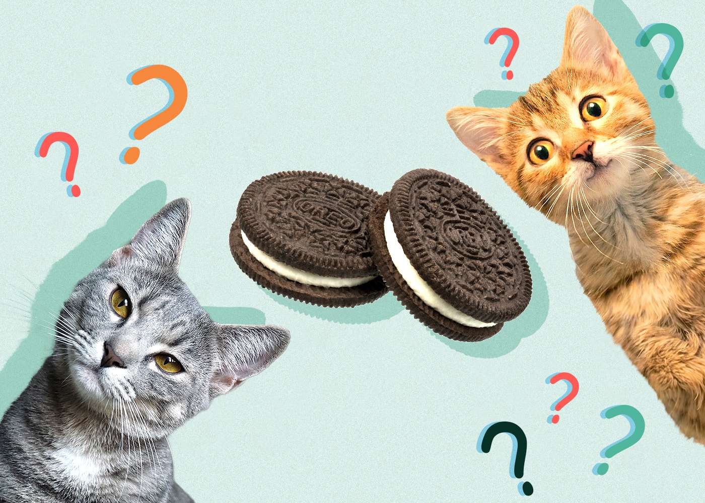 Can Cats Eat Oreos