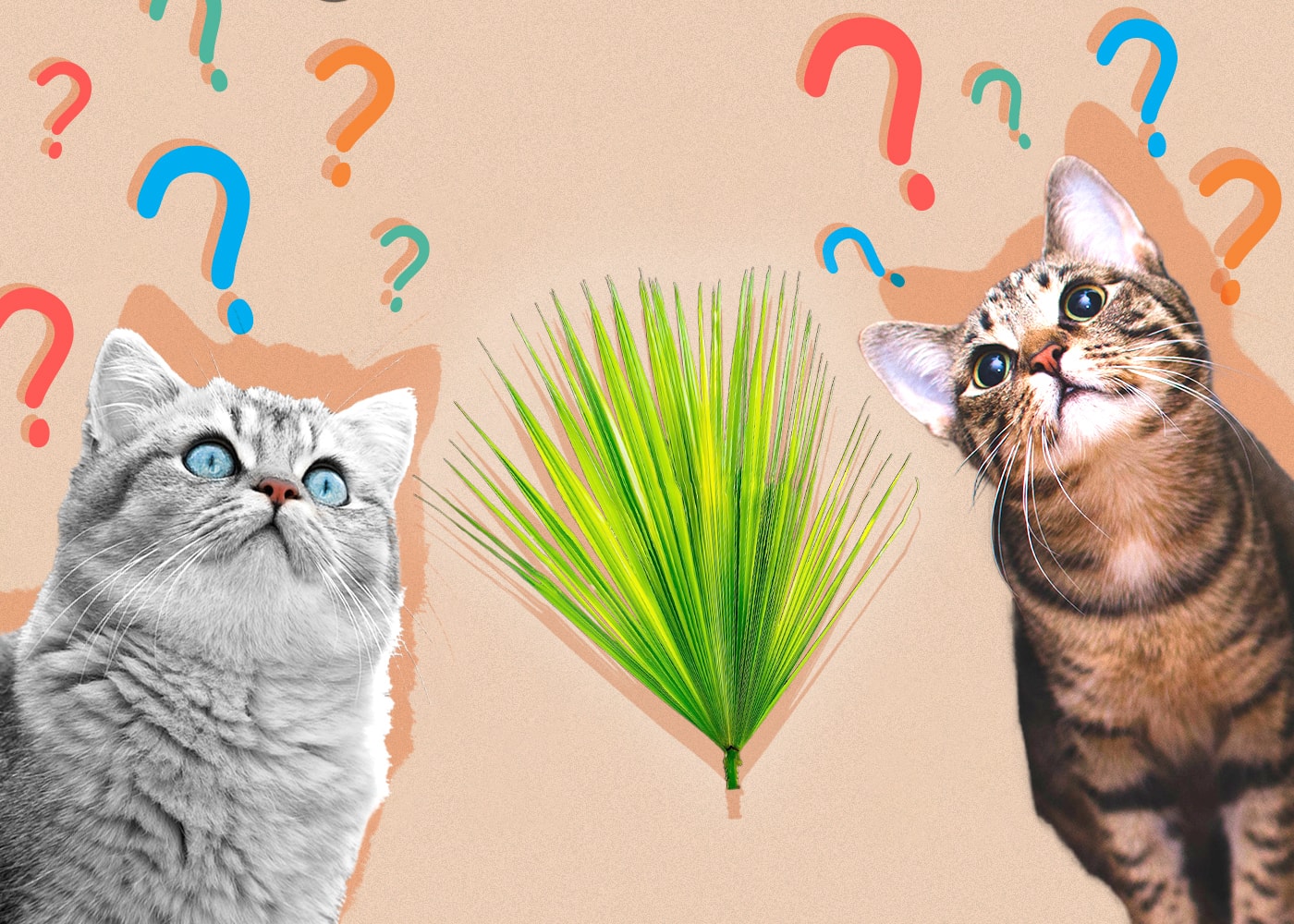 Can Cats Eat Palm Leaves? VetApproved Facts & FAQ Catster