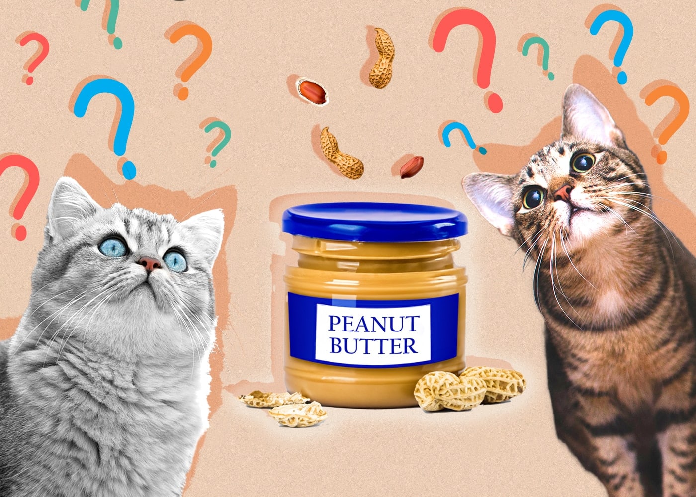 Can Cats Eat Peanut Butter