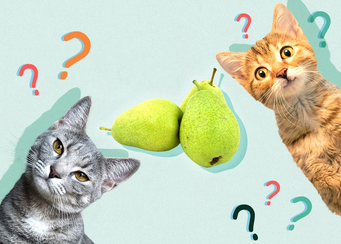 Can Cats Eat pear