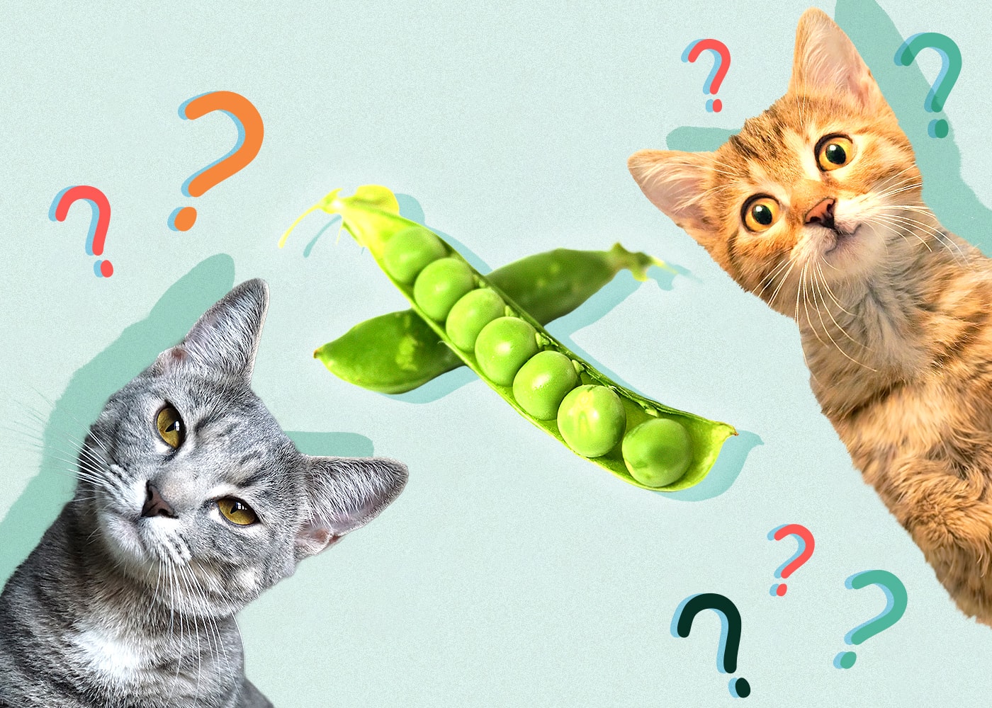 Can Cats Eat Peas