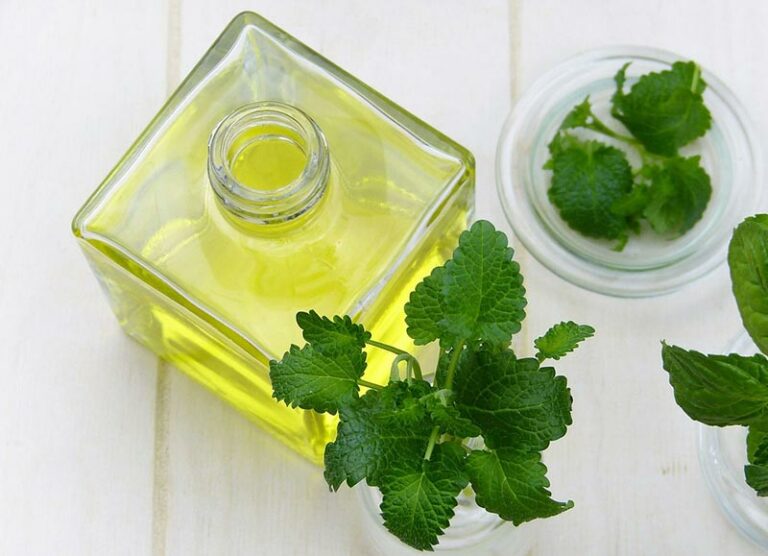 Is Peppermint Oil Safe for Cats? VetReviewed Facts & FAQ Catster