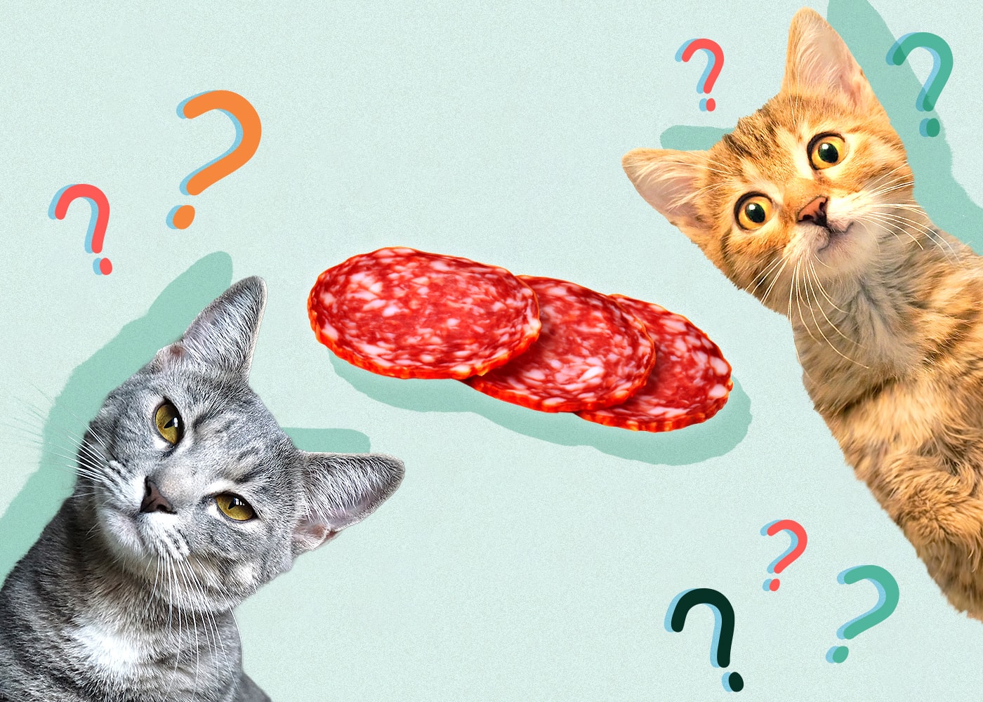 Can Cats Eat Pepperoni? VetReviewed Nutritional Facts & Safety Info Catster