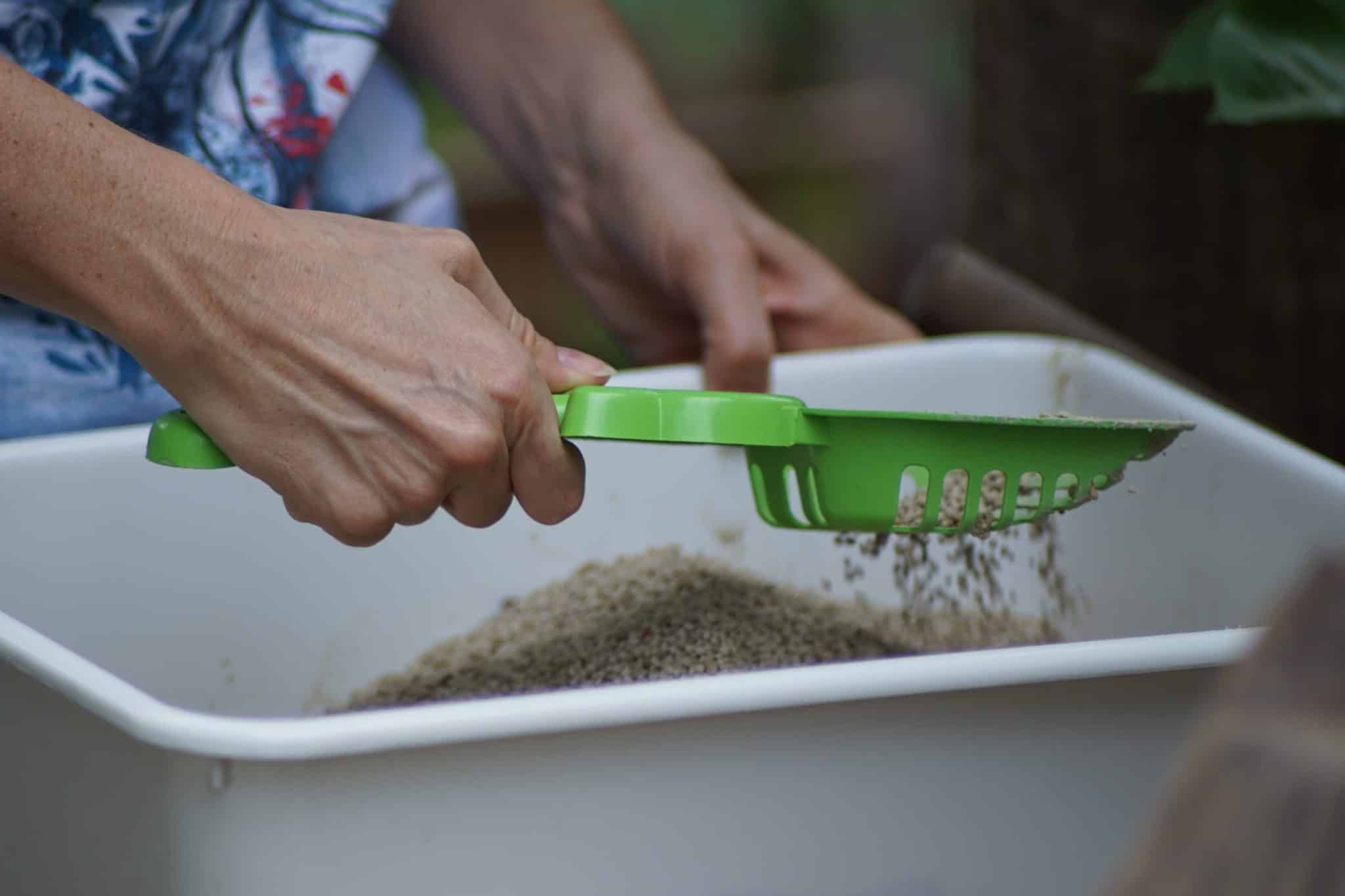 Cleaning Cat Litter Tray