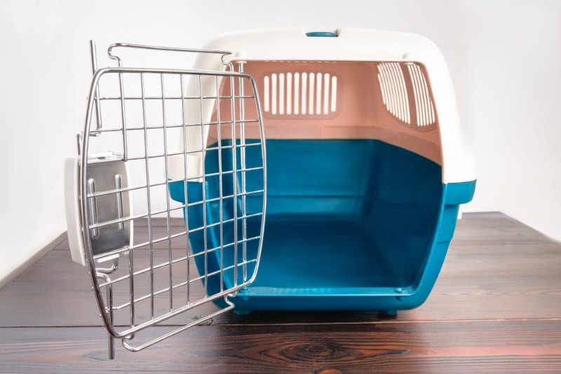 pet carrier on wooden surface
