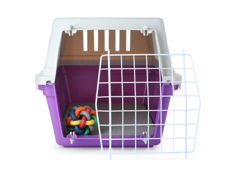 pet carrier with toy inside