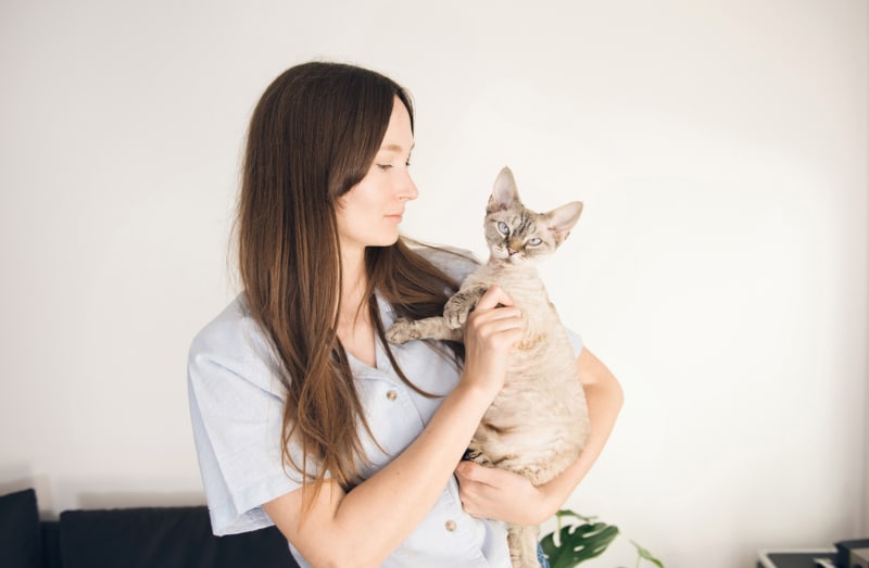pet sitter holding the devon rex cat in her arm