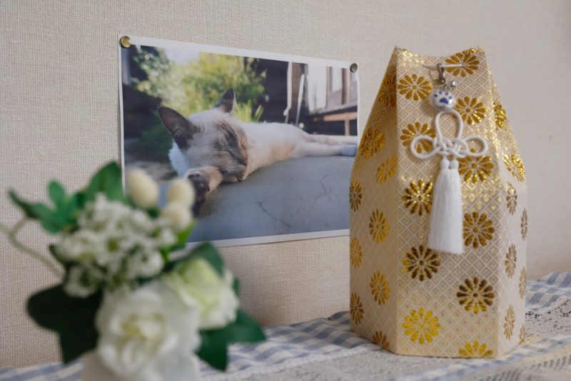 picture-and-urn-of-deceased-cremated-cat