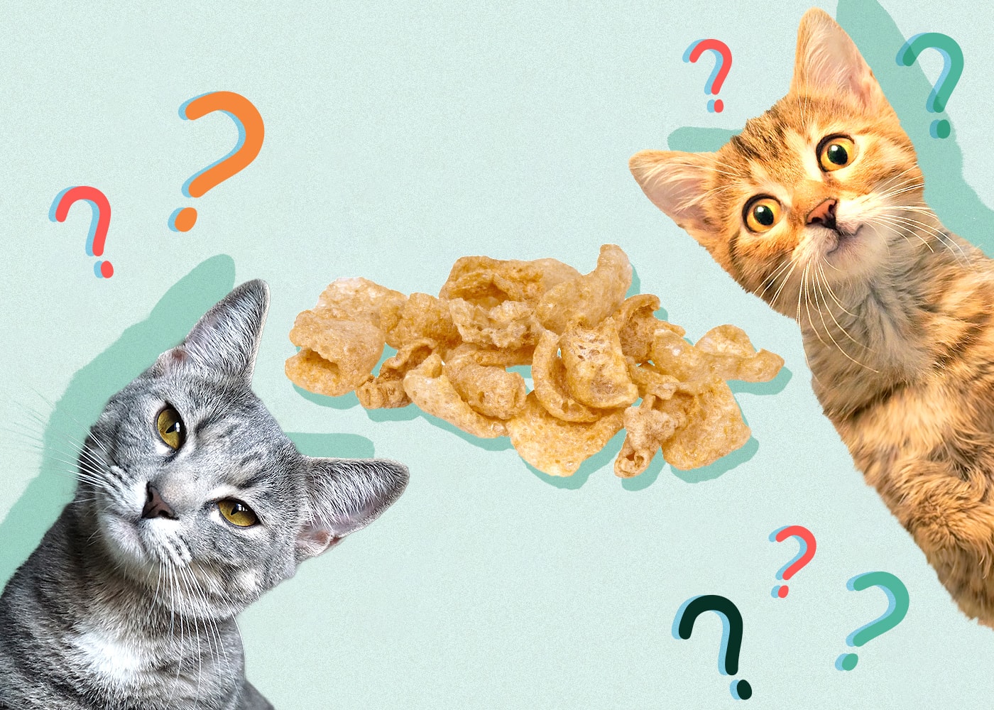 Can Cats Eat Pork Rinds