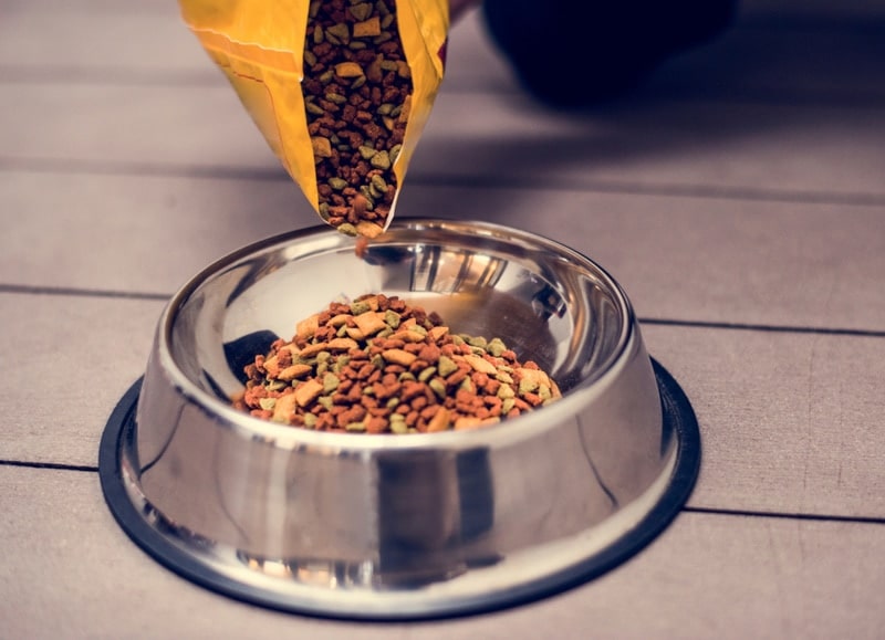 pouring cat food-in a bowl