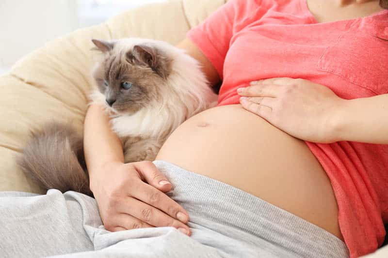 pregnant woman sitting with cat