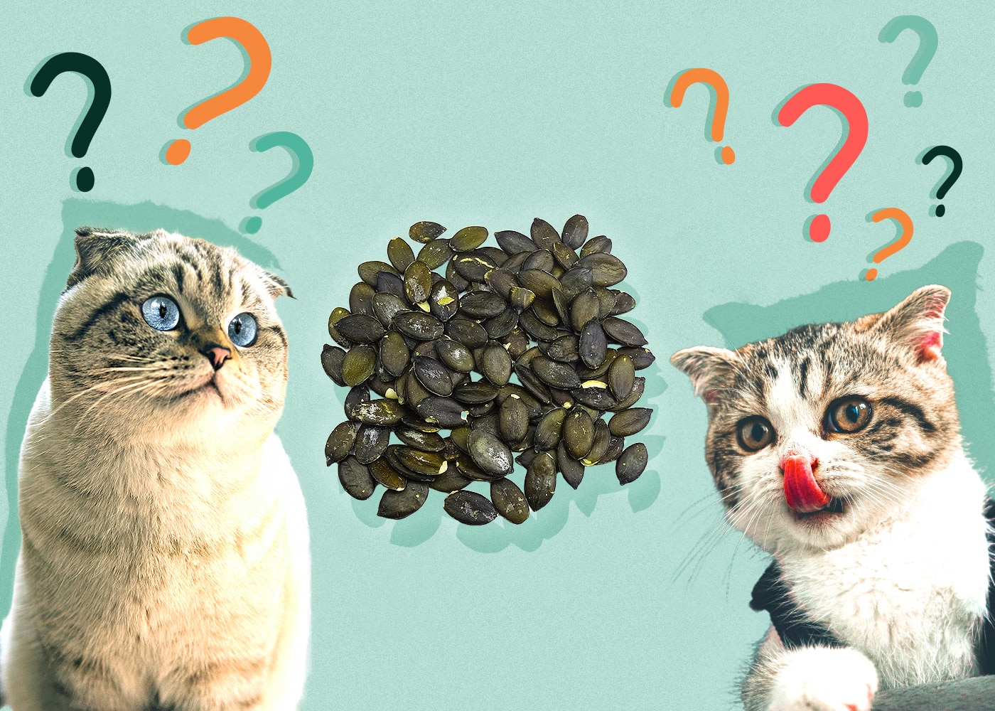 Can Cats Eat Pumpkin Seeds