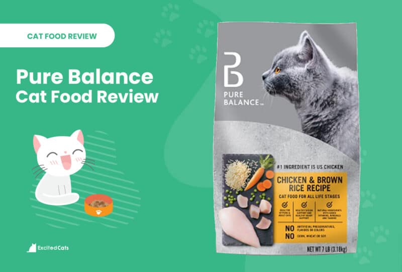pure balance cat food review