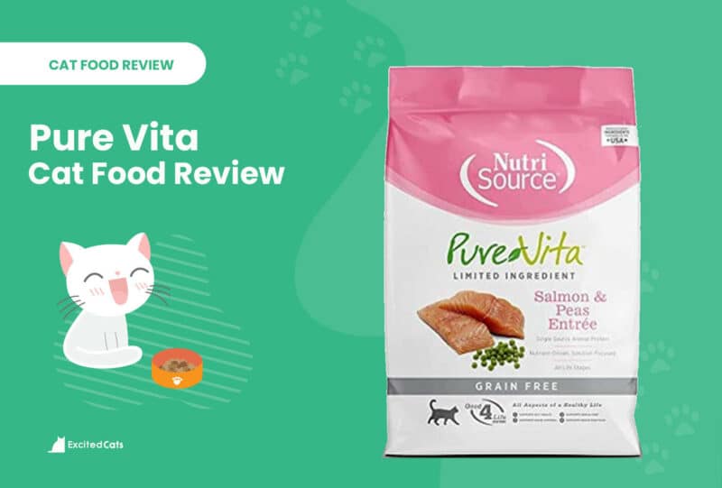 pure vita review header