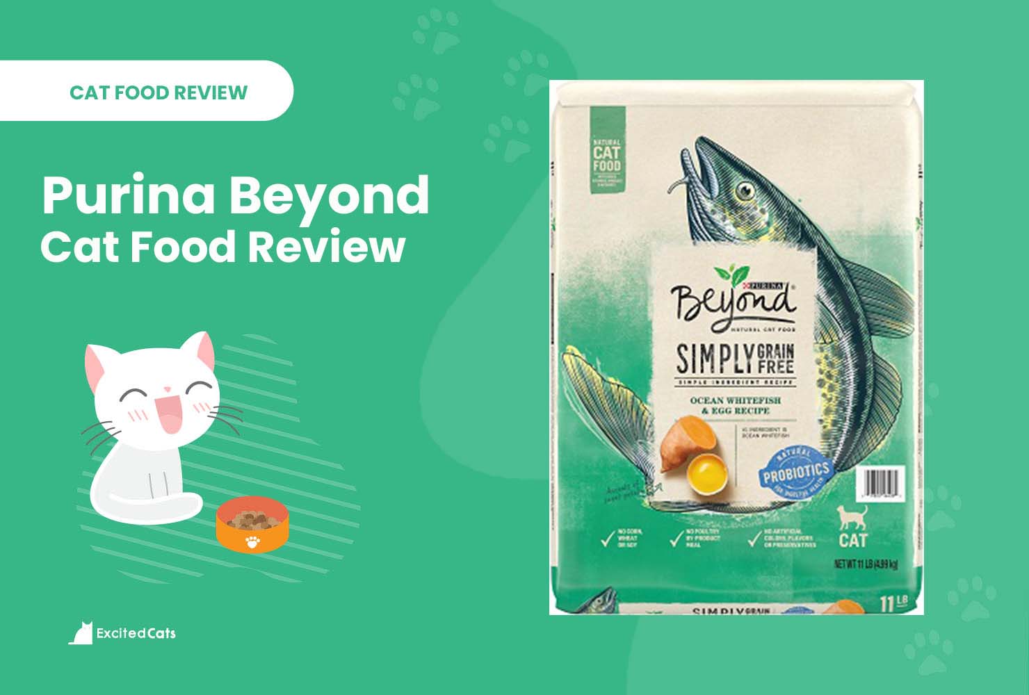 purina beyond review