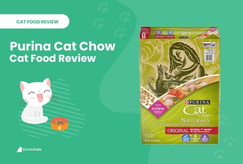 purina cat chow review