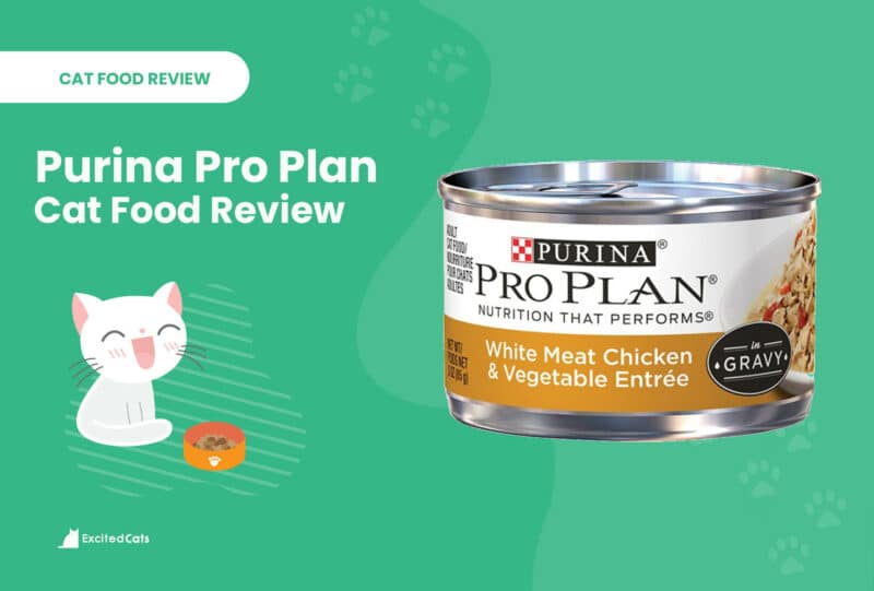 purina pro plan review
