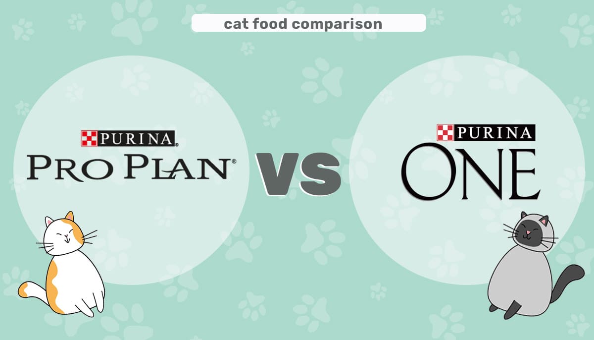 purina pro plan vs purina one header ec 2