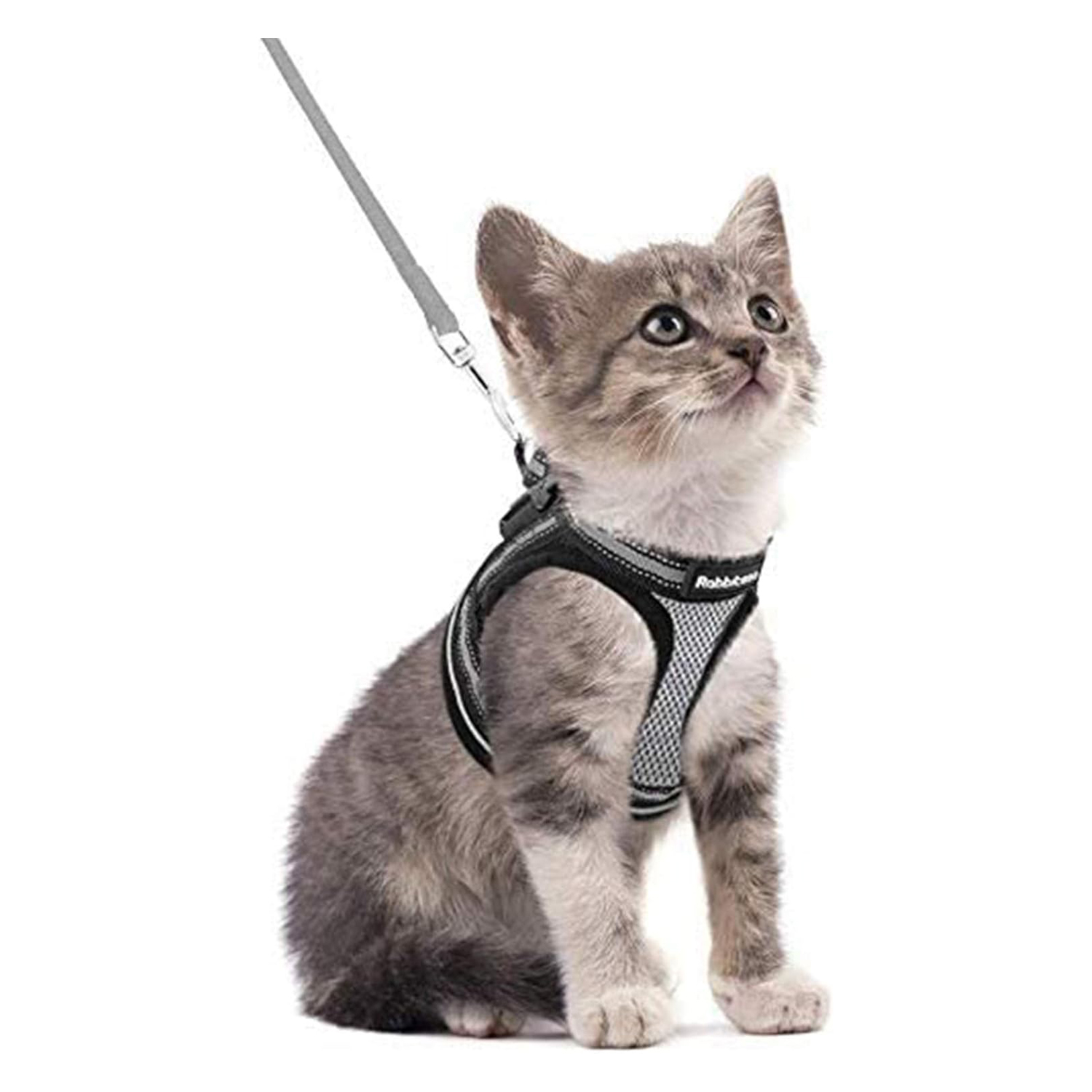 rabbitgoo Cat Harness and Leash Set