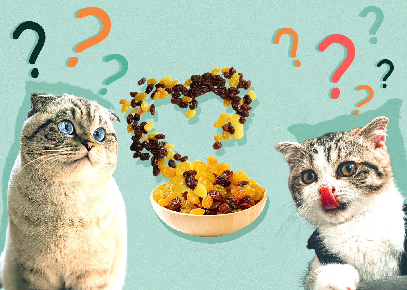 Can Cats Eat Raisins