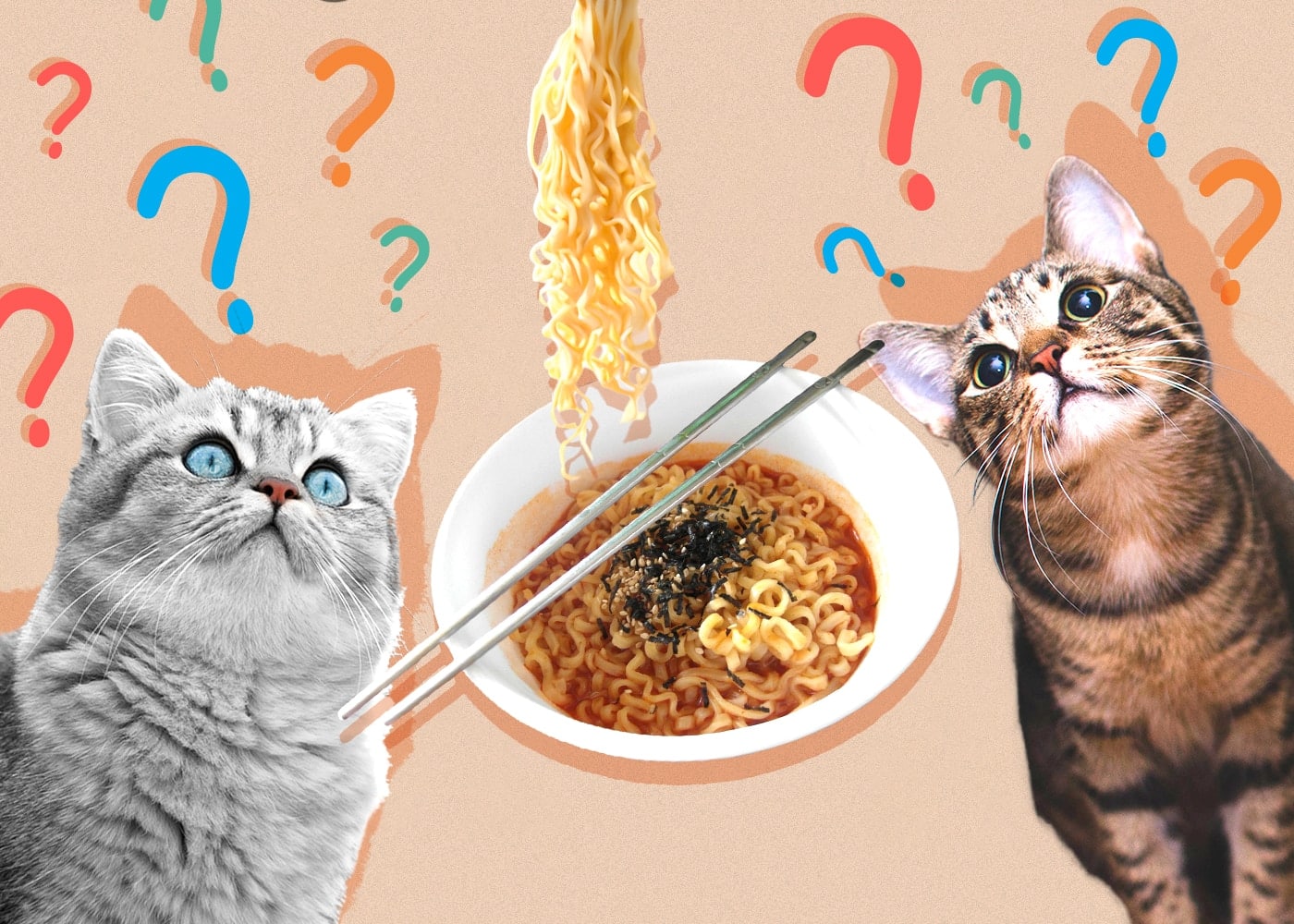 Can Cats Eat Ramen Noodles